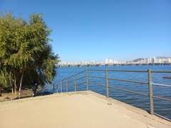 노래를 부르지않는다면...