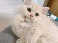 에스파 세계관에 엔시티 뿌리기