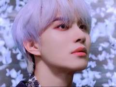 개새끼인지 여우새끼인지 잘 판별하세요 中下