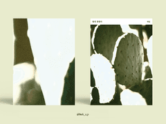 294. 빛의 정원사