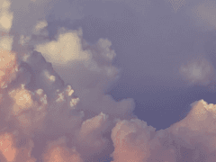 토슈즈가 가는곳에 마이크 하나.