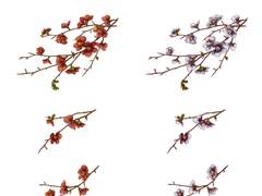 사극, 무협, 동양풍 웹툰 매화 꽃 가지 브러쉬