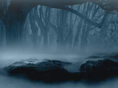 [시리우스] ārens ver