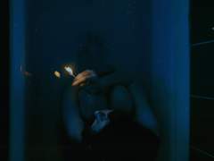 [한니발] 부서진 찻잔