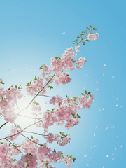 좀비고 연성 백업