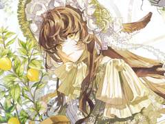 UNIZ_플랜테리어 A세트