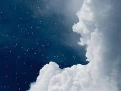 청월 XY 불명 구미호