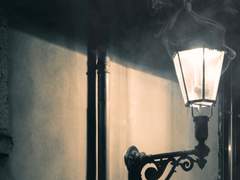 카인 안 필릭스 XY 1학년 검사