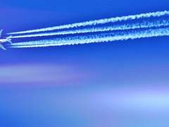 뭐? 비행기 소리 때문에 안 들림