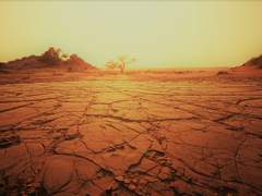 배신자에게 죽음을