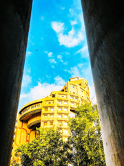 주머니 속 요정