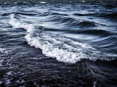 저에게도 재밌는걸 보여주세요,