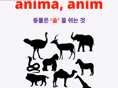 anima, anim