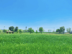 [밀선] 초록 바다 (1)