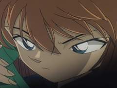 명탐정 코난 '변화하는 것들의 주의문'