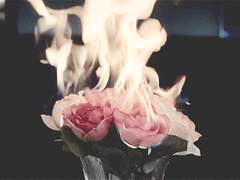 엘리엇｜천갑｜XY