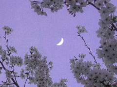 그대가 용기를 내어준 것은