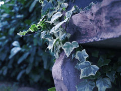 어떤 사랑에는 독이 있어서