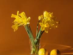 너무나 사랑해서.