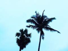 망기무선 키 차이