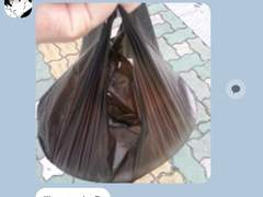 도리벤 카톡드림14-2