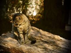 [룯벨릭] B-52. -2-