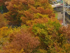 브베의 일상 모음 (마음의 태엽 감기)