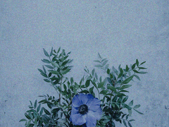 푸른 독초 BLUE VENOM 03