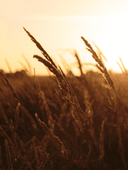 [문나이트] 에필로그