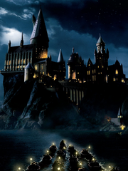 해리포터 단편선