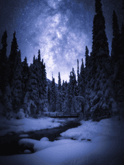 단편 다인 시나리오