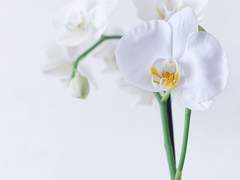 망기무선 여여 캠퍼스