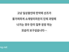 란산즈 현대 AU 과팅 나가는 산즈 질투하는 란
