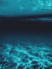 고래별 - 해수&수아