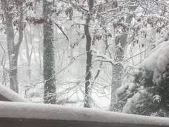 계절은 사랑이 아니면 안 됐다.