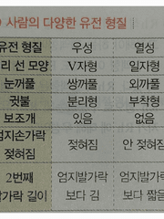 웹툰 캐릭터의 유전