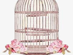 回歸線(회귀선). 四