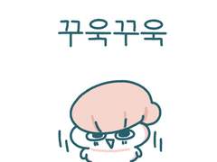 꾸욱꾸욱