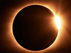 도대체 왜 이런걸 적는거야