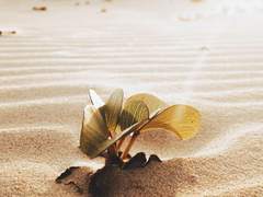 언젠가 노래해주길 소망하며,