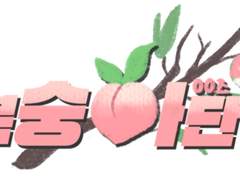 경기 4팀 복숭아단