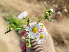 늘 웃고 있다고 좋은 사람은 아니야.(prolog)