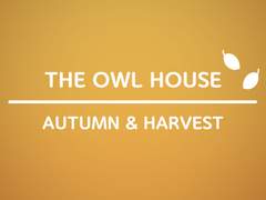 [글] 여우비 - 샏