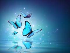 호접지몽(胡蝶之夢)스카라무슈/방랑자