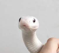 서애 착장 정리