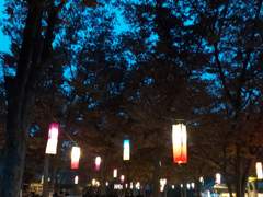 수운 호연｜27｜男｜량씨 세가