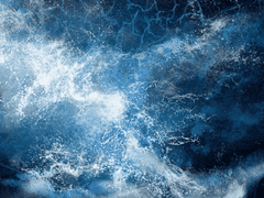 오직 광기를 가진 자만이