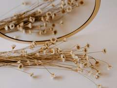 내가 당신의 거울이라면