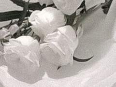 은밀한 랑데부를 즐긴 두 연인의 장소는 마치 세레나데의 한 장면을 연상했습니다.