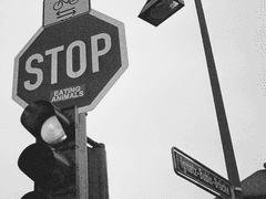 (3) 그렇게 군침 삼키면서 내빼긴